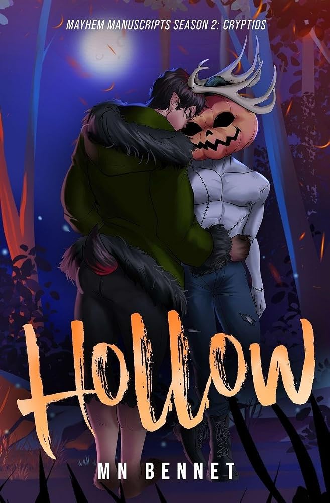 Hollow cover image